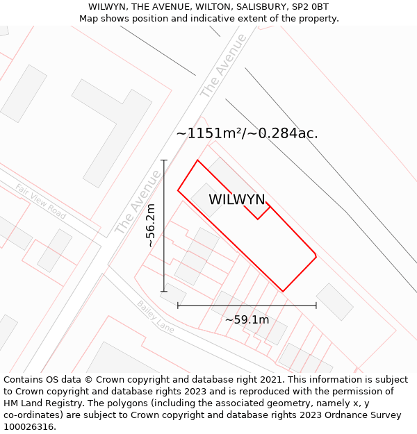 WILWYN, THE AVENUE, WILTON, SALISBURY, SP2 0BT: Plot and title map