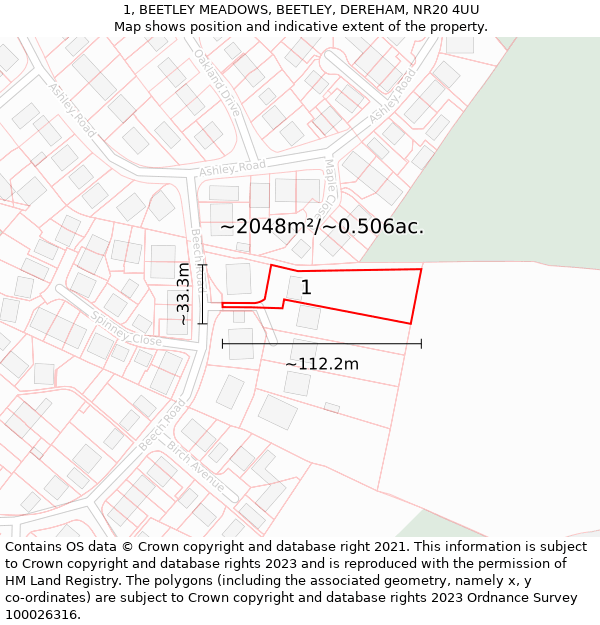 1, BEETLEY MEADOWS, BEETLEY, DEREHAM, NR20 4UU: Plot and title map