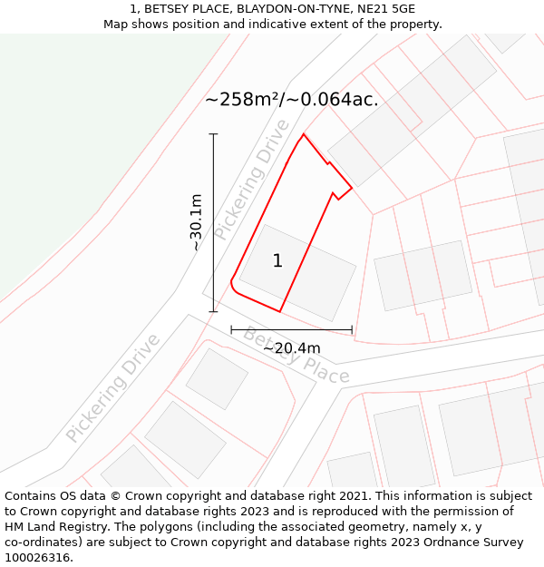 1, BETSEY PLACE, BLAYDON-ON-TYNE, NE21 5GE: Plot and title map