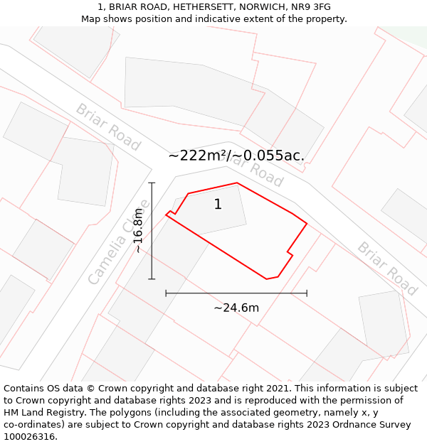 1, BRIAR ROAD, HETHERSETT, NORWICH, NR9 3FG: Plot and title map