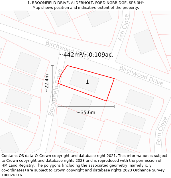 1, BROOMFIELD DRIVE, ALDERHOLT, FORDINGBRIDGE, SP6 3HY: Plot and title map