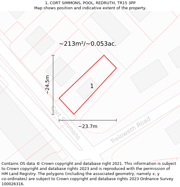 1, CORT SIMMONS, POOL, REDRUTH, TR15 3PP: Plot and title map