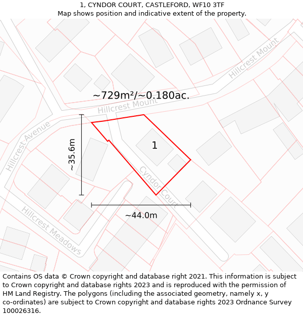 1, CYNDOR COURT, CASTLEFORD, WF10 3TF: Plot and title map