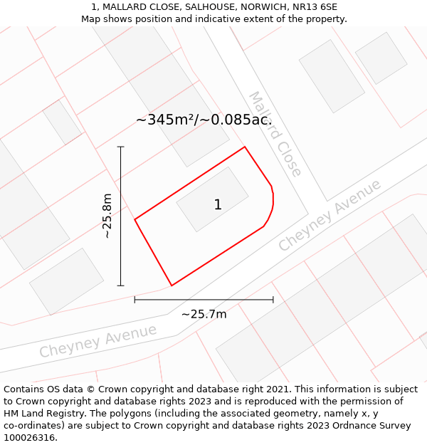 1, MALLARD CLOSE, SALHOUSE, NORWICH, NR13 6SE: Plot and title map