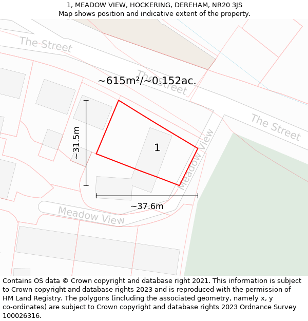 1, MEADOW VIEW, HOCKERING, DEREHAM, NR20 3JS: Plot and title map