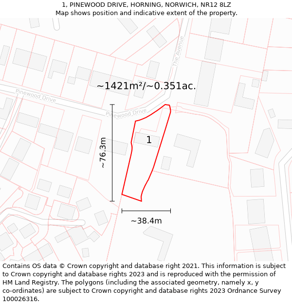 1, PINEWOOD DRIVE, HORNING, NORWICH, NR12 8LZ: Plot and title map