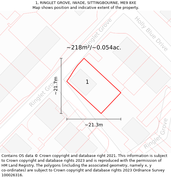 1, RINGLET GROVE, IWADE, SITTINGBOURNE, ME9 8XE: Plot and title map