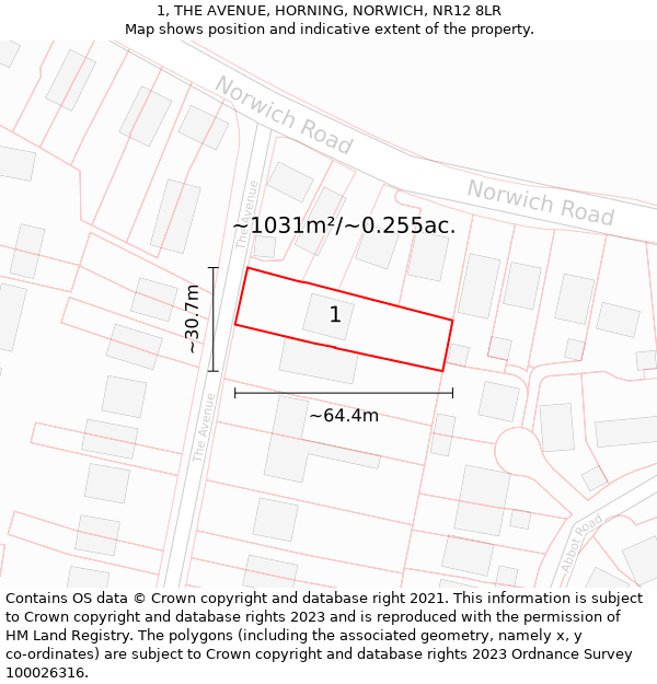 1, THE AVENUE, HORNING, NORWICH, NR12 8LR: Plot and title map