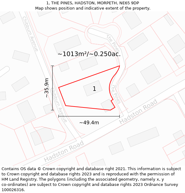 1, THE PINES, HADSTON, MORPETH, NE65 9DP: Plot and title map