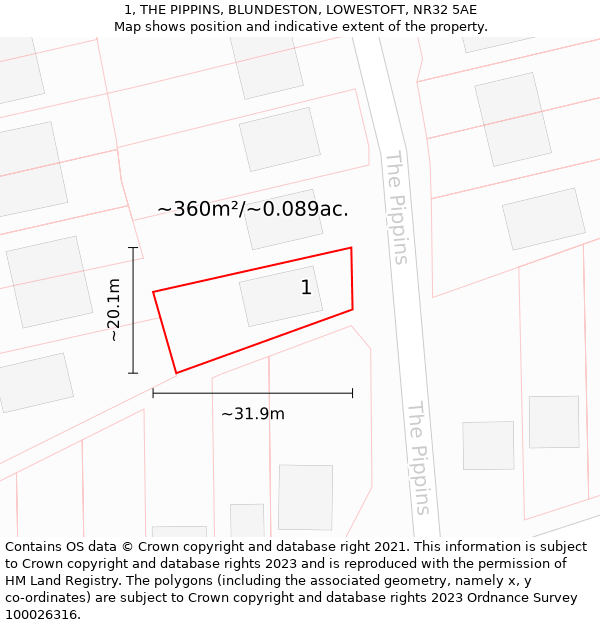 1, THE PIPPINS, BLUNDESTON, LOWESTOFT, NR32 5AE: Plot and title map