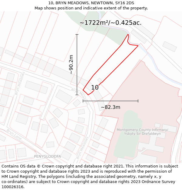 10, BRYN MEADOWS, NEWTOWN, SY16 2DS: Plot and title map