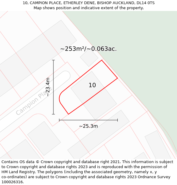 10, CAMPION PLACE, ETHERLEY DENE, BISHOP AUCKLAND, DL14 0TS: Plot and title map