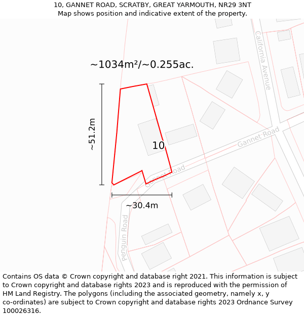 10, GANNET ROAD, SCRATBY, GREAT YARMOUTH, NR29 3NT: Plot and title map
