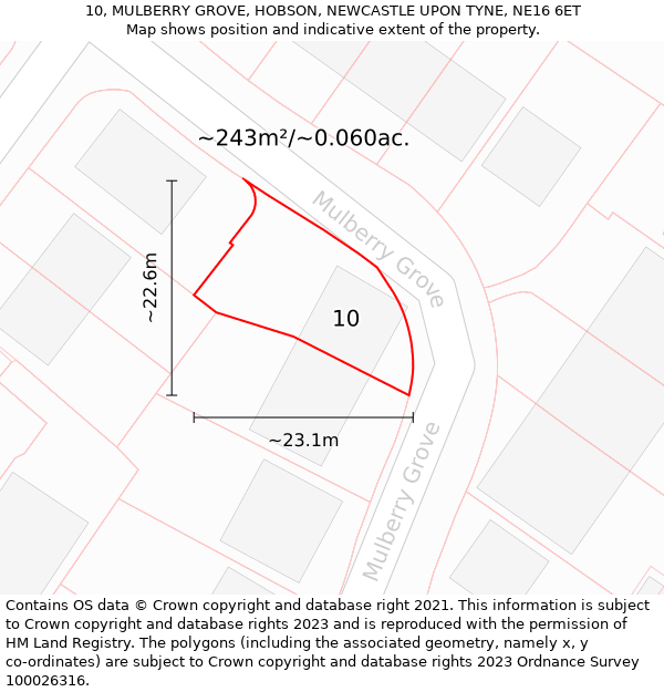 10, MULBERRY GROVE, HOBSON, NEWCASTLE UPON TYNE, NE16 6ET: Plot and title map