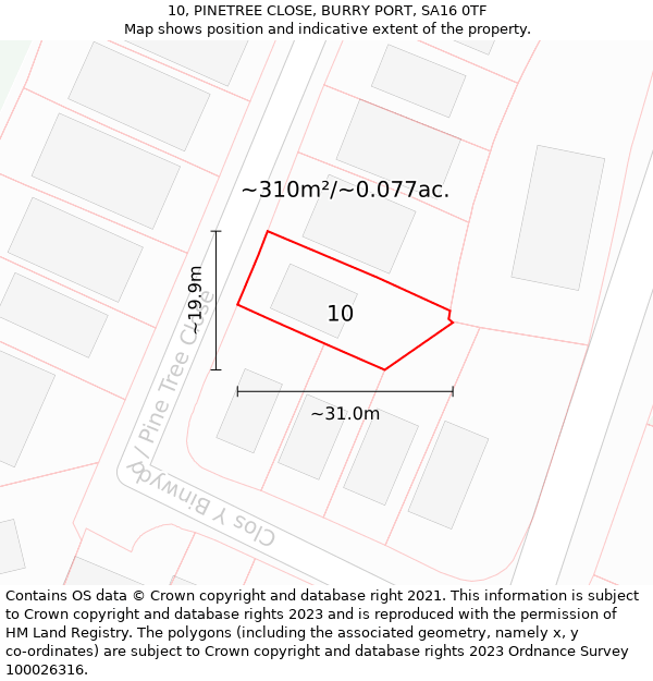 10, PINETREE CLOSE, BURRY PORT, SA16 0TF: Plot and title map