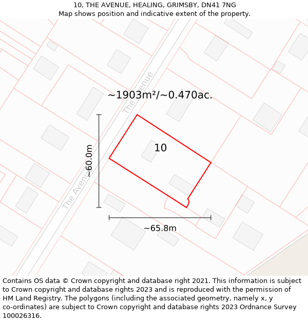 10, THE AVENUE, HEALING, GRIMSBY, DN41 7NG: Plot and title map