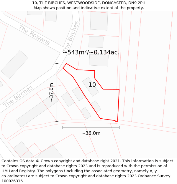 10, THE BIRCHES, WESTWOODSIDE, DONCASTER, DN9 2PH: Plot and title map