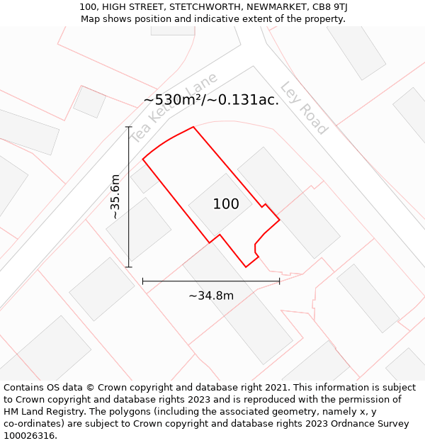 100, HIGH STREET, STETCHWORTH, NEWMARKET, CB8 9TJ: Plot and title map