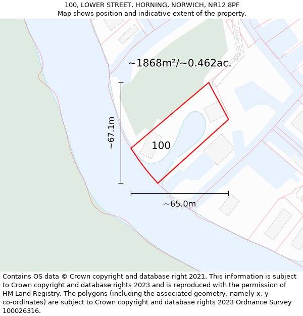 100, LOWER STREET, HORNING, NORWICH, NR12 8PF: Plot and title map