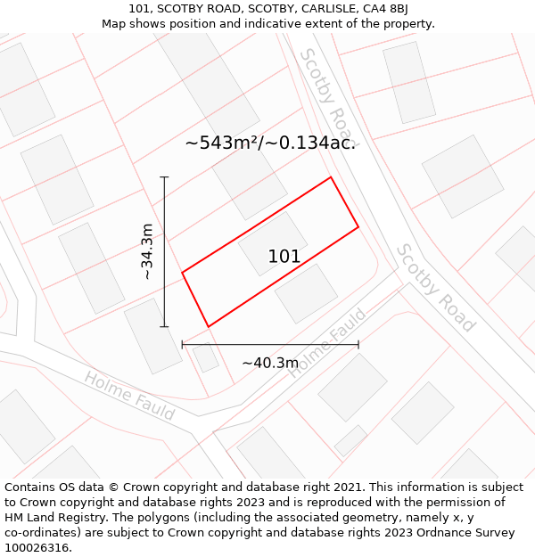 101, SCOTBY ROAD, SCOTBY, CARLISLE, CA4 8BJ: Plot and title map