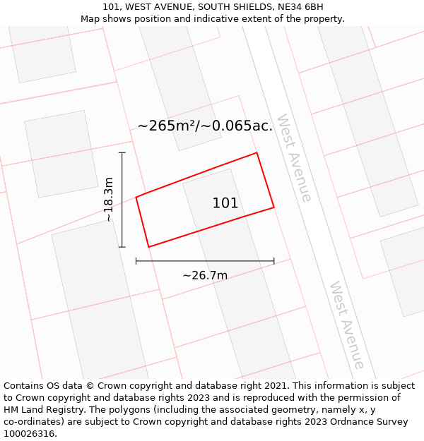 101, WEST AVENUE, SOUTH SHIELDS, NE34 6BH: Plot and title map