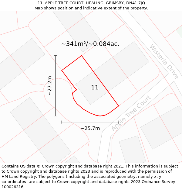 11, APPLE TREE COURT, HEALING, GRIMSBY, DN41 7JQ: Plot and title map