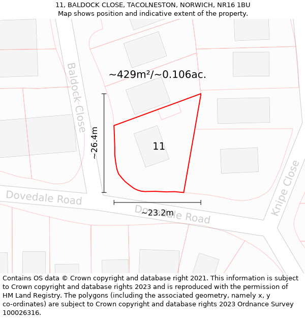 11, BALDOCK CLOSE, TACOLNESTON, NORWICH, NR16 1BU: Plot and title map