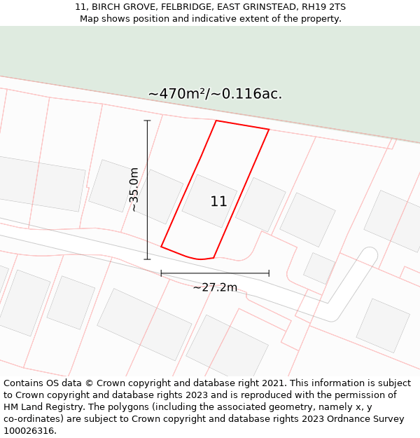 11, BIRCH GROVE, FELBRIDGE, EAST GRINSTEAD, RH19 2TS: Plot and title map