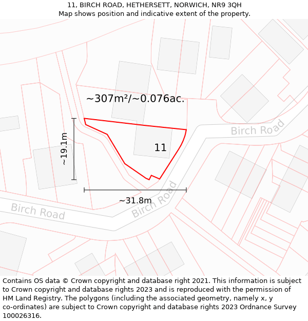 11, BIRCH ROAD, HETHERSETT, NORWICH, NR9 3QH: Plot and title map