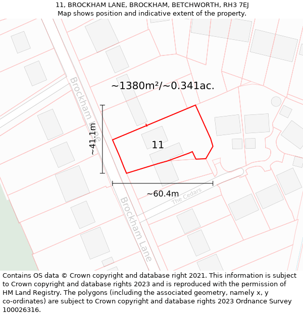 11, BROCKHAM LANE, BROCKHAM, BETCHWORTH, RH3 7EJ: Plot and title map