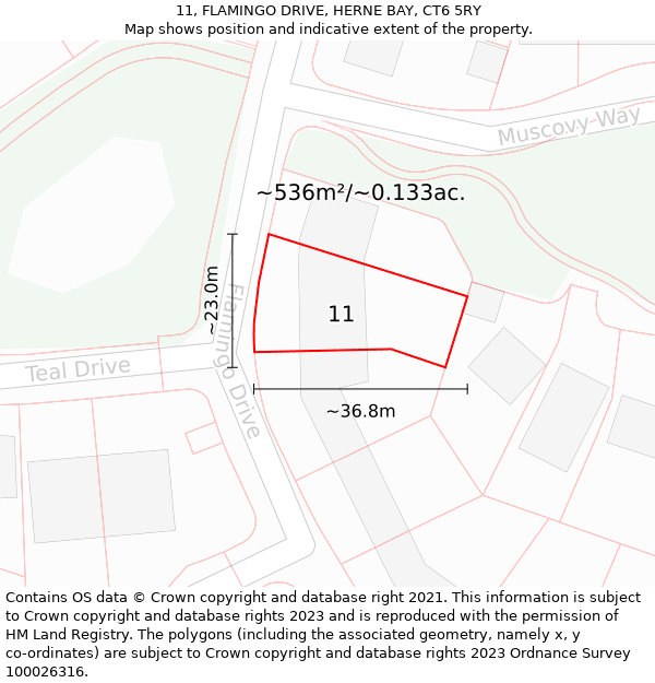 11, FLAMINGO DRIVE, HERNE BAY, CT6 5RY: Plot and title map