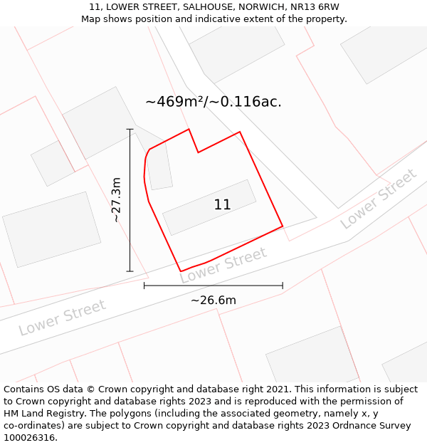 11, LOWER STREET, SALHOUSE, NORWICH, NR13 6RW: Plot and title map