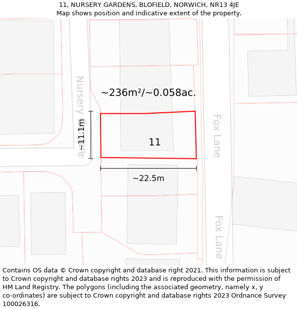 11, NURSERY GARDENS, BLOFIELD, NORWICH, NR13 4JE: Plot and title map