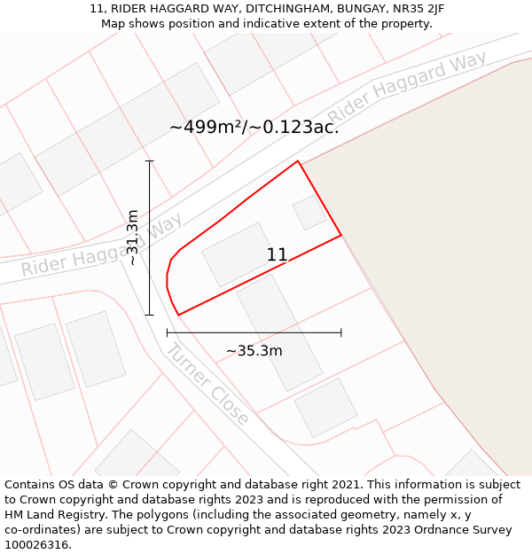 11, RIDER HAGGARD WAY, DITCHINGHAM, BUNGAY, NR35 2JF: Plot and title map