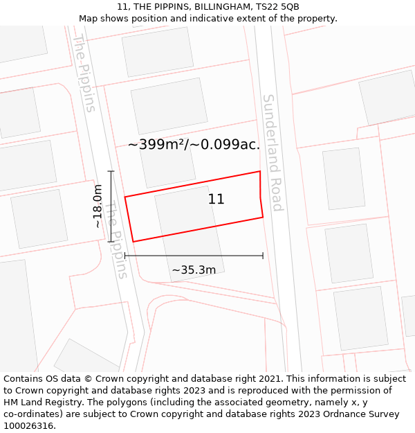 11, THE PIPPINS, BILLINGHAM, TS22 5QB: Plot and title map