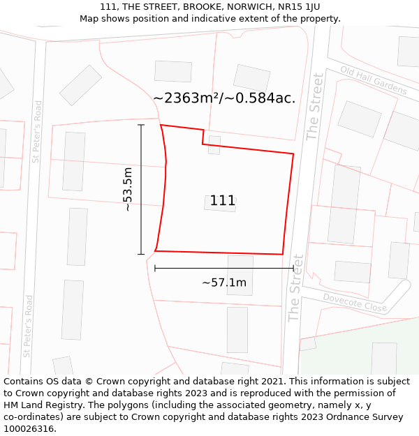 111, THE STREET, BROOKE, NORWICH, NR15 1JU: Plot and title map