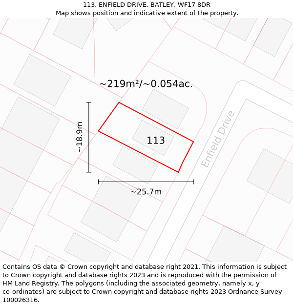 113, ENFIELD DRIVE, BATLEY, WF17 8DR: Plot and title map