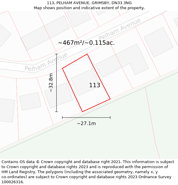 113, PELHAM AVENUE, GRIMSBY, DN33 3NG: Plot and title map