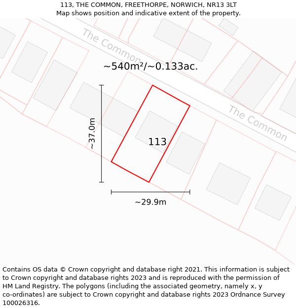 113, THE COMMON, FREETHORPE, NORWICH, NR13 3LT: Plot and title map