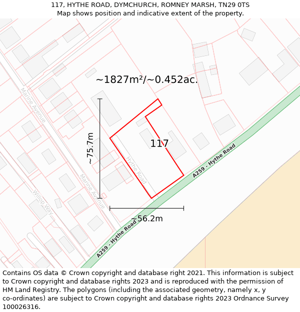 117, HYTHE ROAD, DYMCHURCH, ROMNEY MARSH, TN29 0TS: Plot and title map