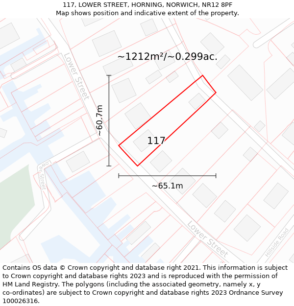 117, LOWER STREET, HORNING, NORWICH, NR12 8PF: Plot and title map