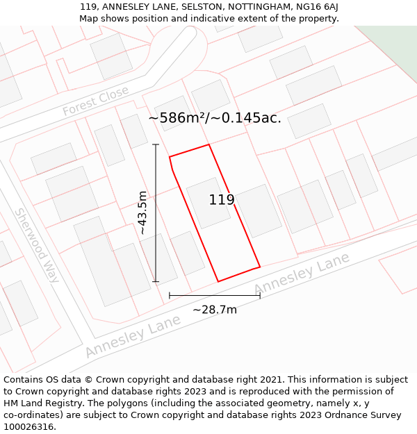 119, ANNESLEY LANE, SELSTON, NOTTINGHAM, NG16 6AJ: Plot and title map