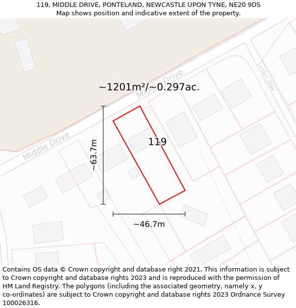 119, MIDDLE DRIVE, PONTELAND, NEWCASTLE UPON TYNE, NE20 9DS: Plot and title map