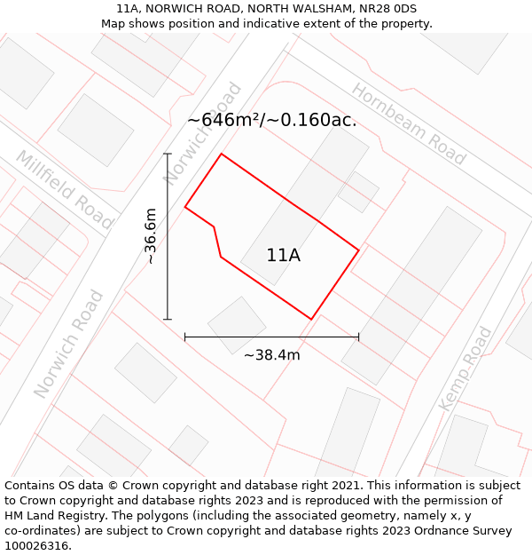 11A, NORWICH ROAD, NORTH WALSHAM, NR28 0DS: Plot and title map