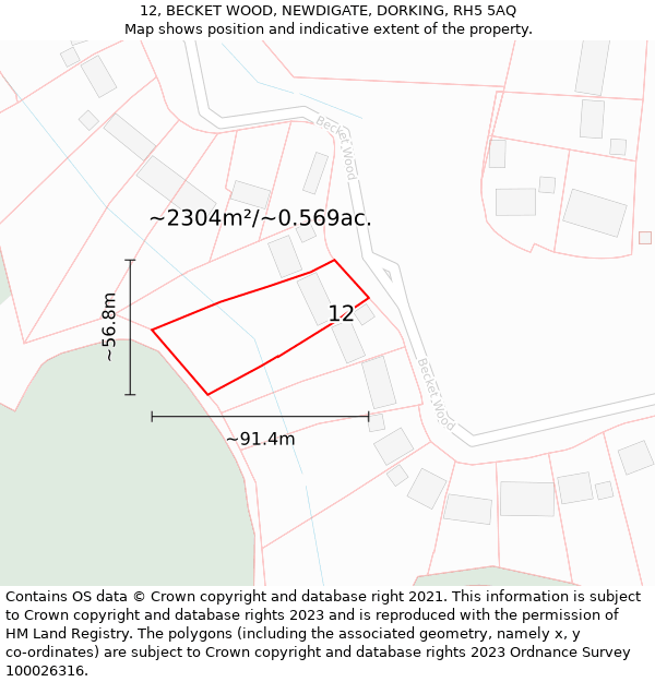 12, BECKET WOOD, NEWDIGATE, DORKING, RH5 5AQ: Plot and title map