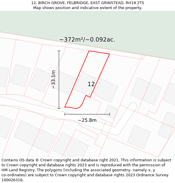 12, BIRCH GROVE, FELBRIDGE, EAST GRINSTEAD, RH19 2TS: Plot and title map