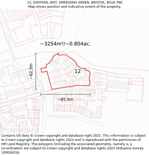 12, DAFFODIL WAY, EMERSONS GREEN, BRISTOL, BS16 7NE: Plot and title map