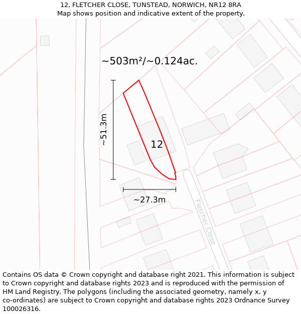 12, FLETCHER CLOSE, TUNSTEAD, NORWICH, NR12 8RA: Plot and title map