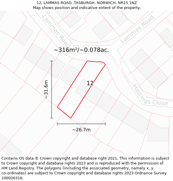 12, LAMMAS ROAD, TASBURGH, NORWICH, NR15 1NZ: Plot and title map