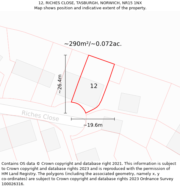 12, RICHES CLOSE, TASBURGH, NORWICH, NR15 1NX: Plot and title map